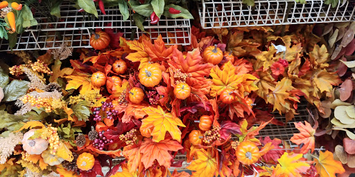 Craft Store «Michaels», reviews and photos, 1035 Emmet St N, Charlottesville, VA 22903, USA