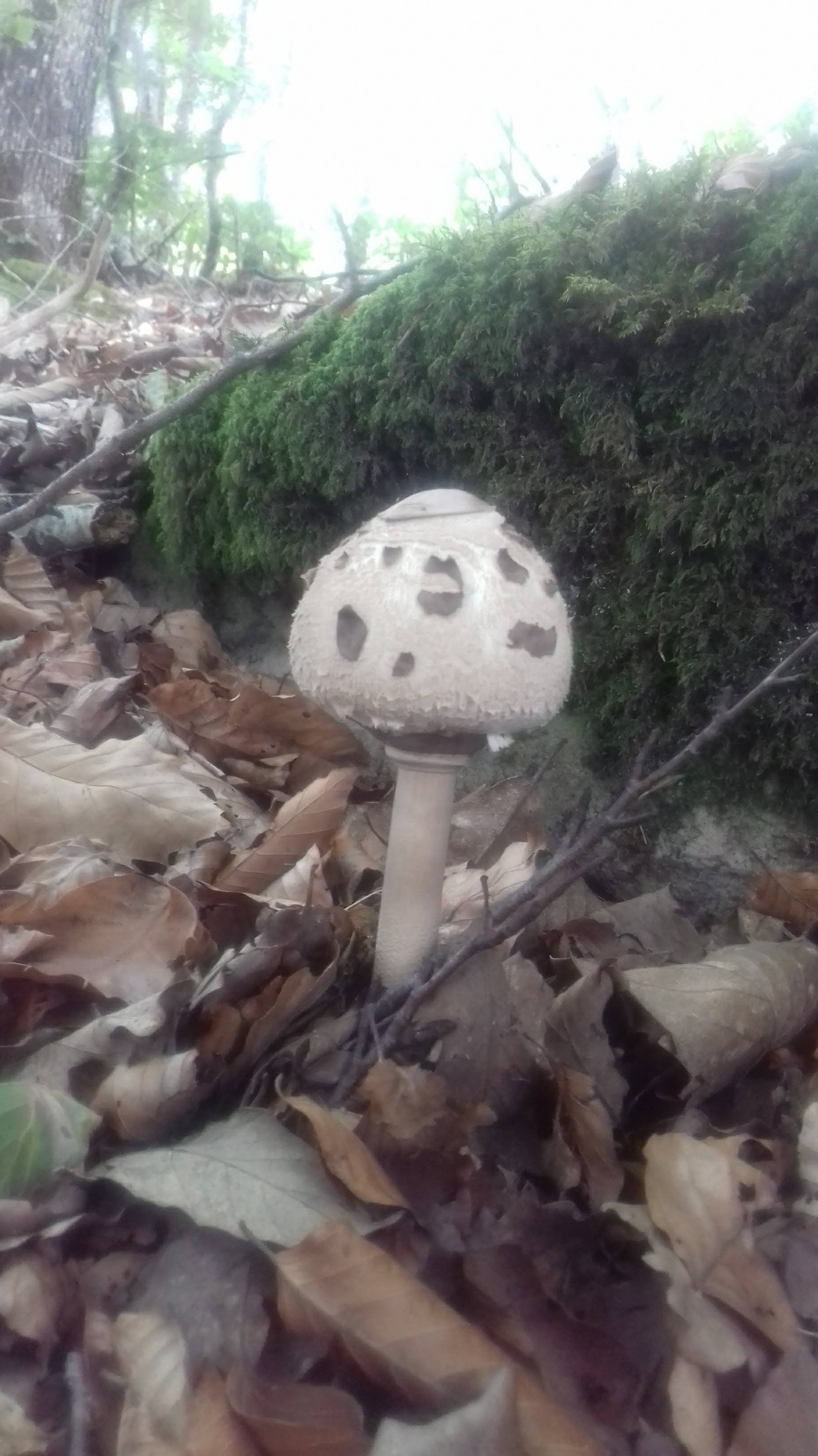 Photo n° 19 de l'avis de Isabelle.u fait le 29/09/2019 à 00:38