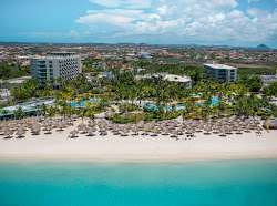 Foto di Spiaggia di Hilton Aruba area parzialmente ristrutturata
