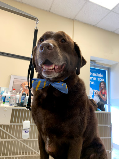 Pet Supply Store «Petco Animal Supplies», reviews and photos, 6612 Richmond Hwy, Alexandria, VA 22306, USA