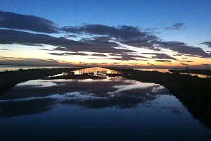 Riserva Naturale delle saline image