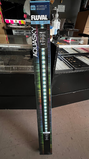 Find inbetween boob tattoo ideas for your next unique tattoo in Albuquerque at Tattoosbyfrankieg