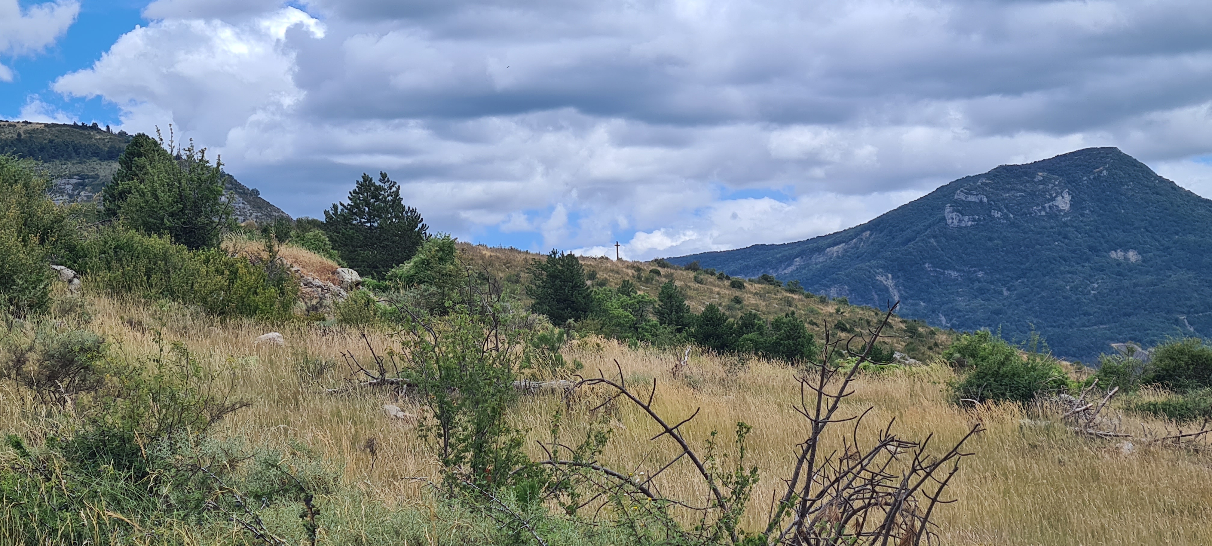 Photo n° 13 de l'avis de Fabien.a fait le 25/07/2023 à 19:28