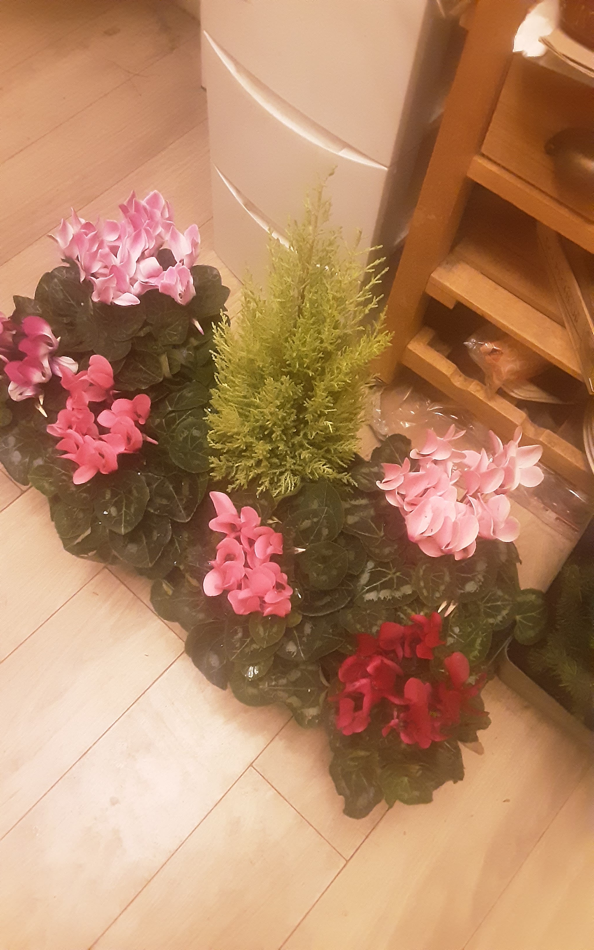 Photo n° 1 de l'avis de Isabelle.O fait le 23/12/2022 à 20:25