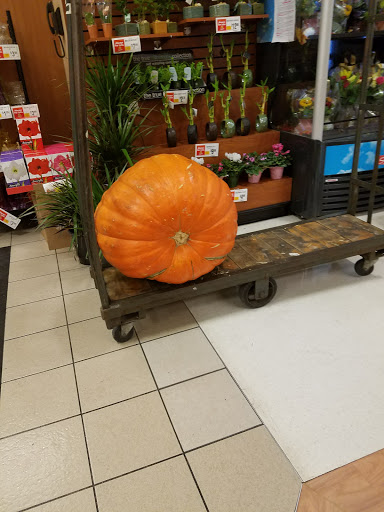 Grocery Store «ShopRite of Marlton», reviews and photos, 307 NJ-70, Marlton, NJ 08053, USA