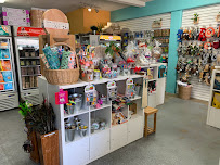 Noah's Natural Pet Market - Photo 5 - Car repair in San Diego, CA, Jacksonville