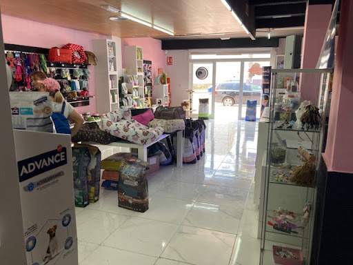 Peluquería canina y felina en Ribarroja del Turia Mascotita S.C. - Riba-roja de Túria