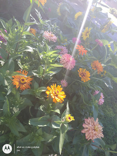 Thrift Store «Second Blessing Thrift Store Inc.», reviews and photos, 2323 Central Ave, Wichita, KS 67214, USA