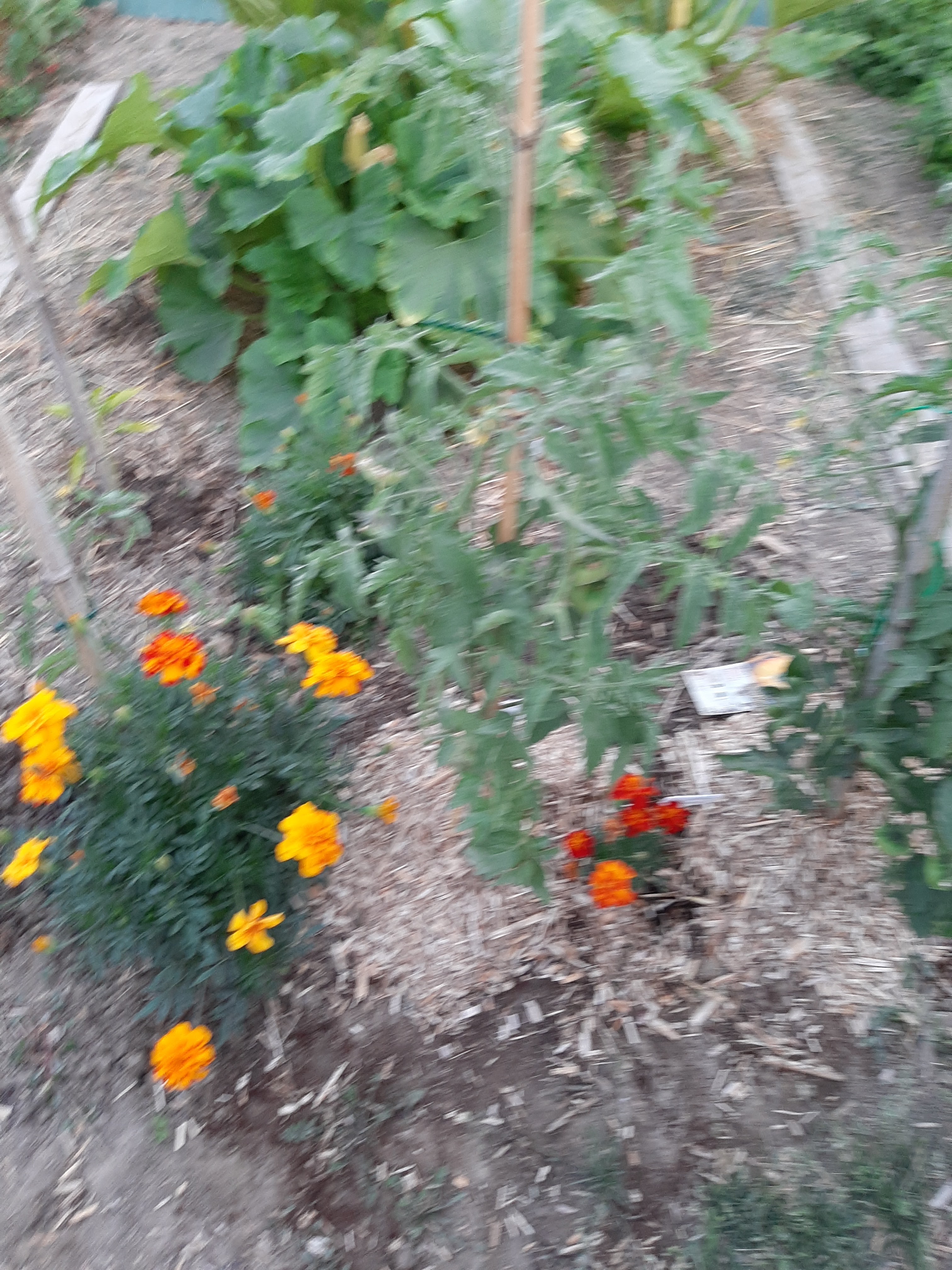 Photo n° 6 de l'avis de catherine.o fait le 24/07/2019 à 14:14