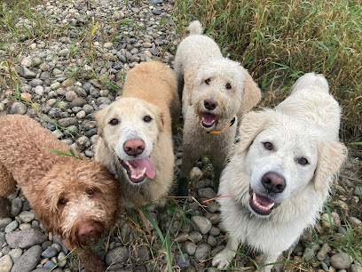 Ruff ‘N’ Revy Walking Adventures & Dog Training