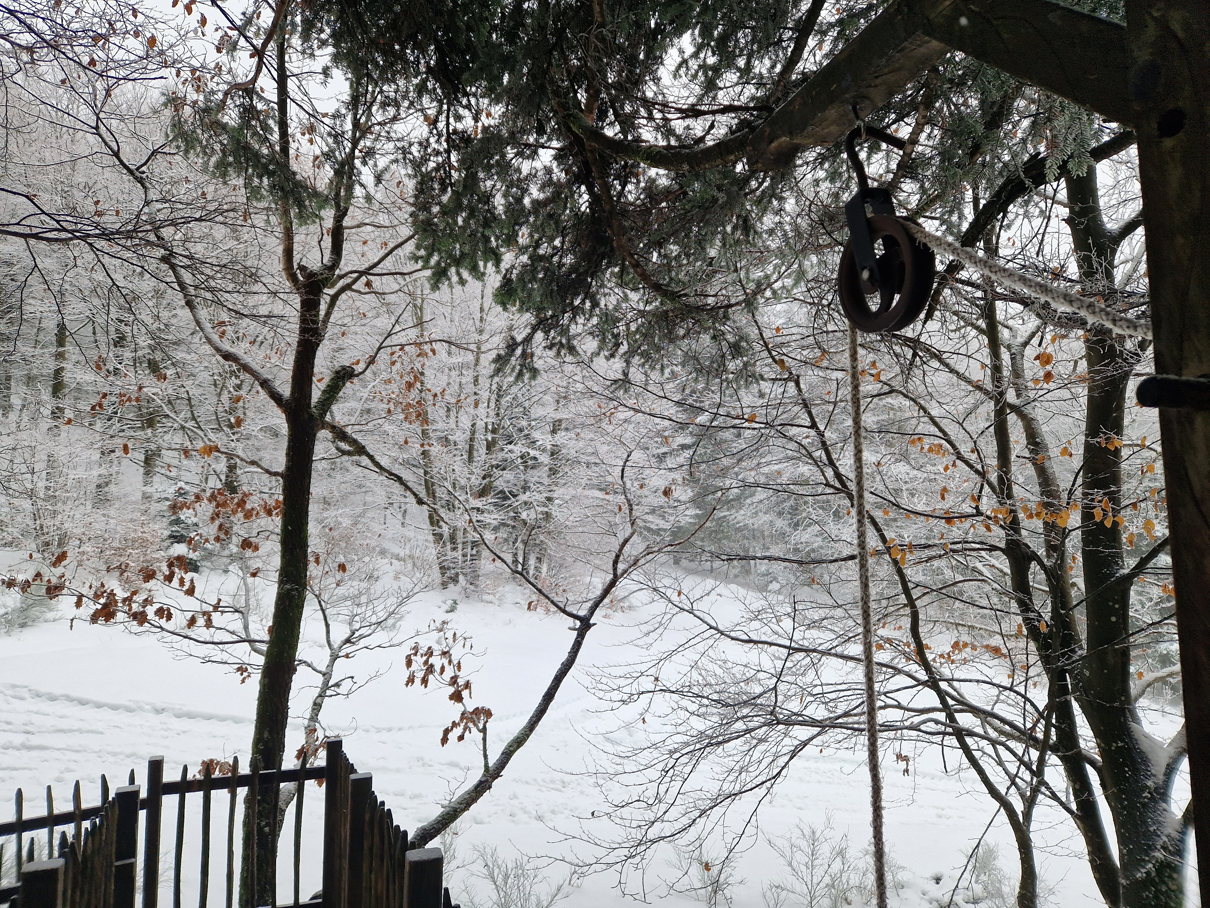 Photo n° 3 de l'avis de Charlene.a fait le 02/12/2023 à 16:43