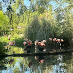 Photo n° 14 de l'avis de Raissa.E fait le 13/08/2023 à 16:19 pour Touroparc Zoo à Romanèche-Thorins