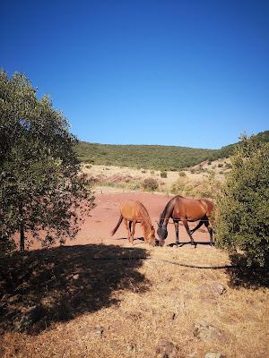 L'Attrape Rêves à Le Puech
