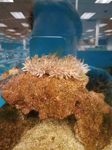 Pet Supply Store «Petco Animal Supplies», reviews and photos, 7215 170th Ave NE #115, Redmond, WA 98052, USA