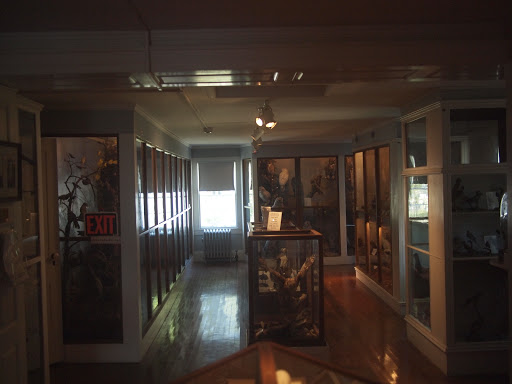 Museum «Woodman Museum», reviews and photos, 182 Central Ave, Dover, NH 03820, USA