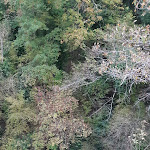 Photo n°6 de l'avis de Anna.i fait le 20/10/2018 à 23:02 sur le  Le Silve di Armenzano Natural Resort à Assisi