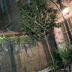 Photo n°1 de l'avis de Markus.a fait le 07/10/2019 à 19:42 sur le  TRATTORIA PIZZERIA AE DO MARIE à San Francesco della Vigna