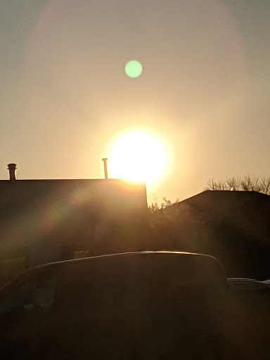 Supermarket «The Harrison Market», reviews and photos, 355 Halstead Ave, Harrison, NY 10528, USA