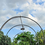 Photo n°10 de l'avis de Alessandro.a fait le 30/07/2022 à 19:20 sur le  Certosa di Pontignano à Pontignano