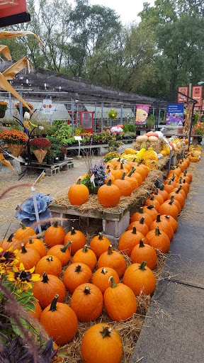 Florist «Kinsch Village Florist & Garden Center», reviews and photos, 301 Johnson St, Palatine, IL 60067, USA