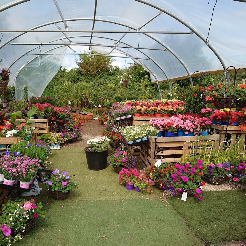 Lucan Garden Centre