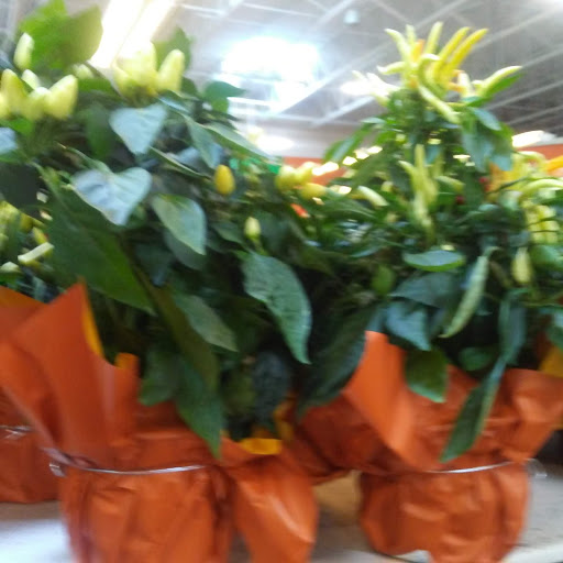 Grocery Store «H-E-B Grocery», reviews and photos, 3590 College St, Beaumont, TX 77701, USA