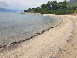 Foto di Chrysi Akti beach con molto pulita livello di pulizia