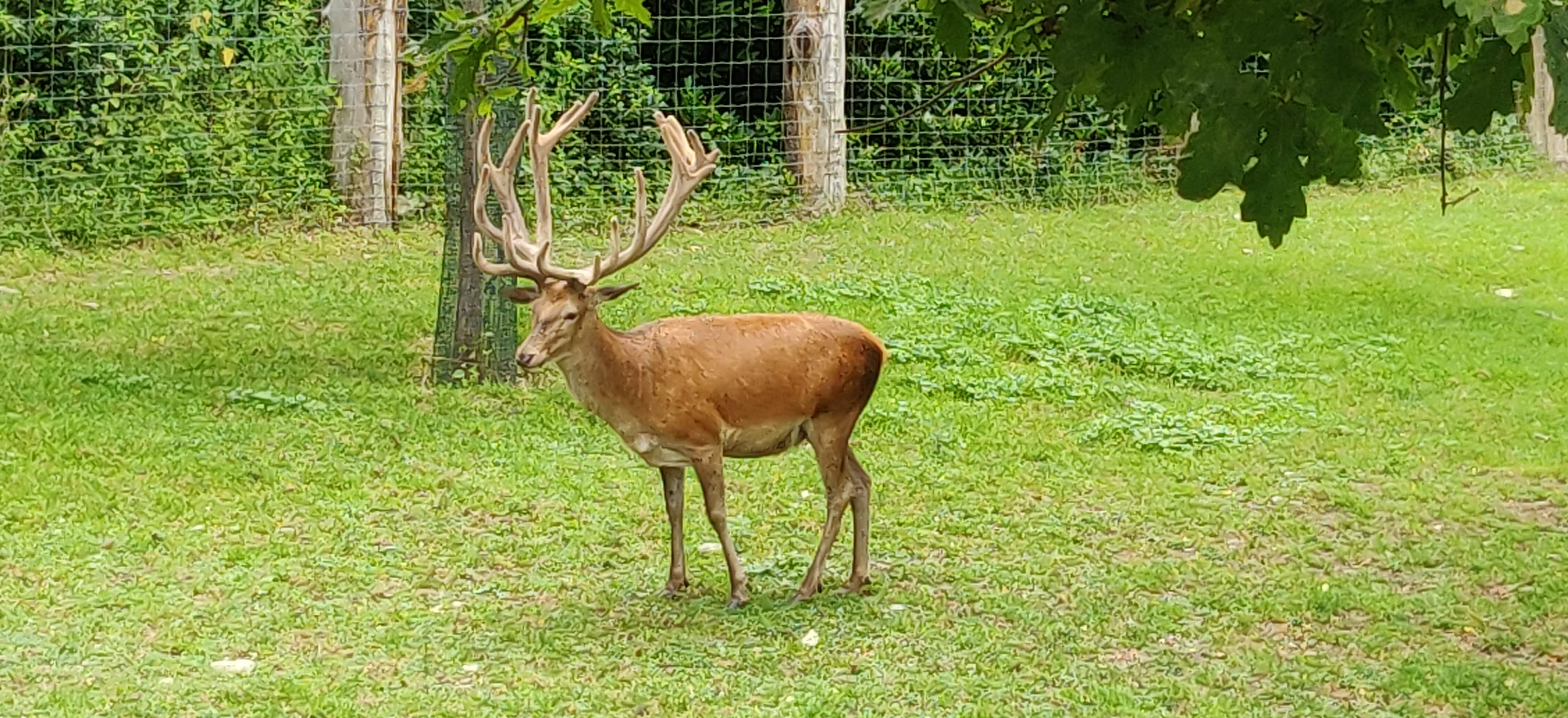 Photo n° 21 de l'avis de Frédéric.o fait le 15/11/2022 à 09:50