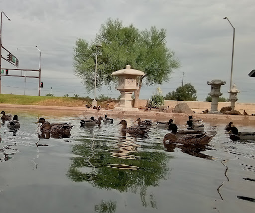 Park «Friendship Park», reviews and photos, 12325 W McDowell Rd, Avondale, AZ 85323, USA