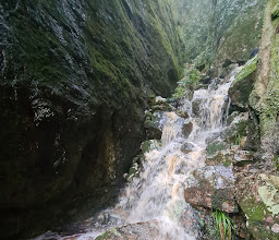 Myburgh's Waterfall Ravine photo