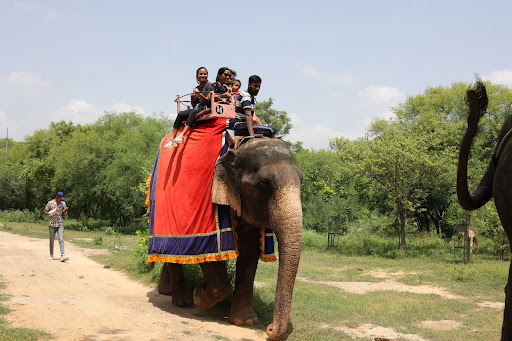 Elefanjoy Best Wildlife Sanctuary Jaipur
