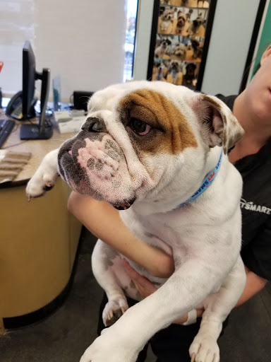 Pet Supply Store «PetSmart», reviews and photos, 10329 S State St, Sandy, UT 84070, USA