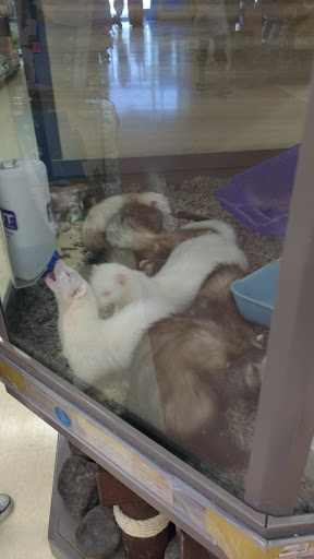 Pet Supply Store «Petco Animal Supplies», reviews and photos, 645 S Green Valley Pkwy, Henderson, NV 89052, USA