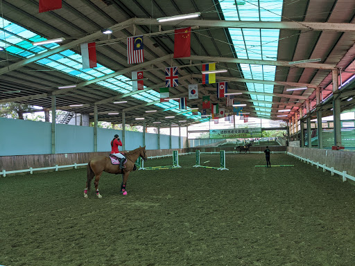 Luye Equestrian Center