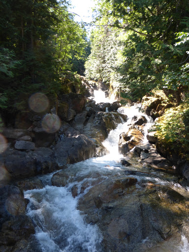 Park «Al Borlin Park», reviews and photos, 615 Simons Rd, Monroe, WA 98272, USA