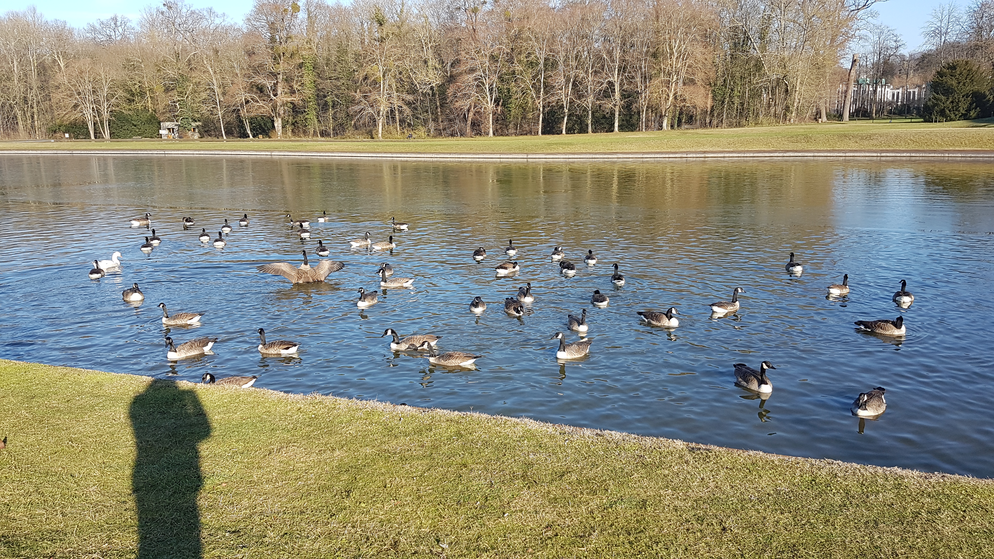 Photo n° 4 de l'avis de Brigitte.r fait le 19/01/2021 à 15:45