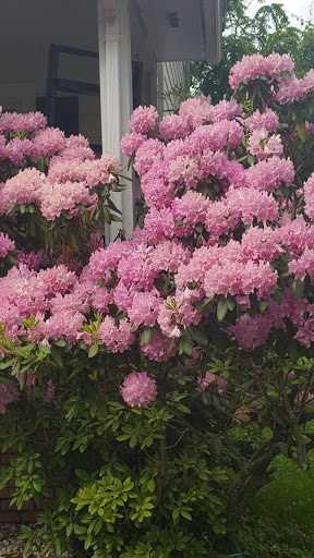 Park «Fancher Davidge Park», reviews and photos, 130 Lake Ave, Middletown, NY 10940, USA