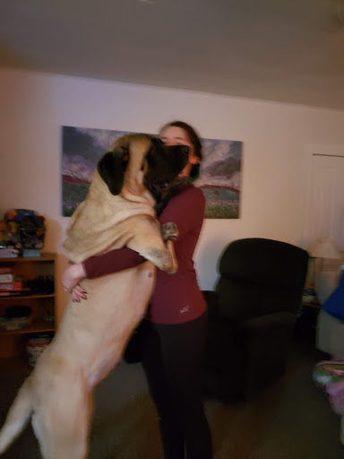 Pet Supply Store «Petco Animal Supplies», reviews and photos, 5239 Harvey St, Norton Shores, MI 49444, USA