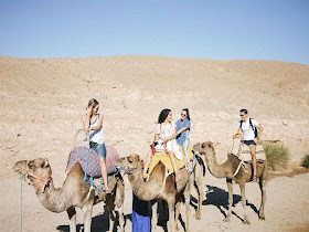 DesertBrise Travel