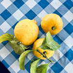 Photo n°7 de l'avis de Anna.u fait le 01/05/2023 à 17:40 sur le  A Modo Mio à Loano