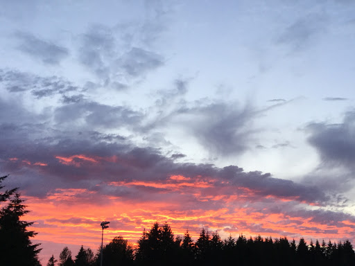 Grocery Store «Safeway», reviews and photos, 37601 US-26, Sandy, OR 97055, USA