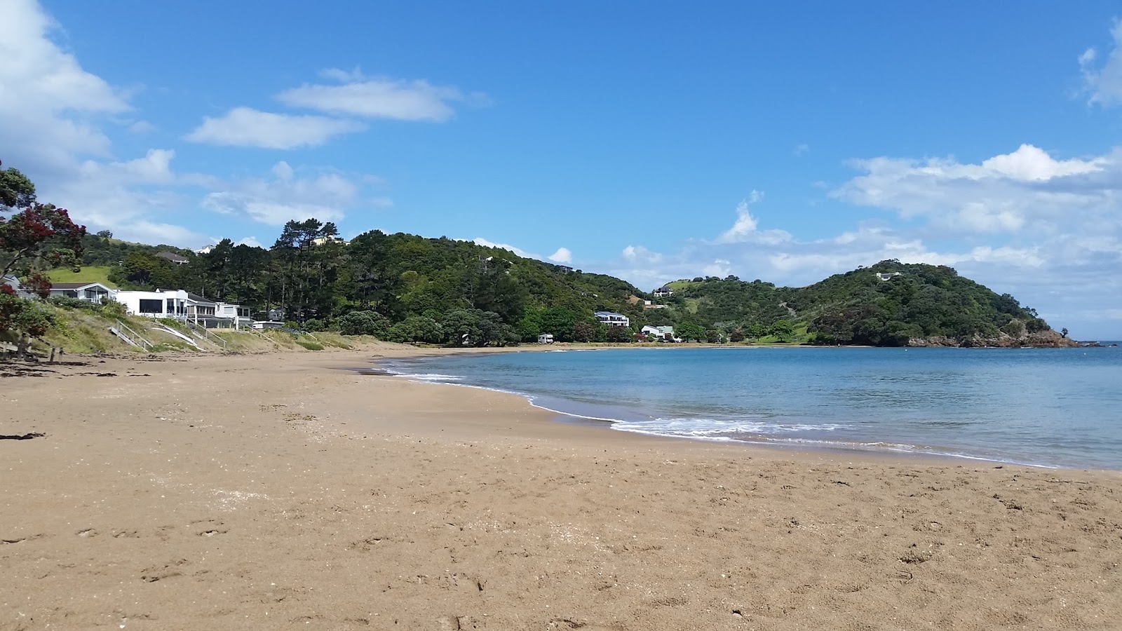 Foto von Wellingtons Bay Beach mit beiger sand Oberfläche