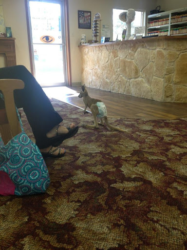 Eye Care Center «Creative Eyewear», reviews and photos, 844 N Walnut Ave, New Braunfels, TX 78130, USA