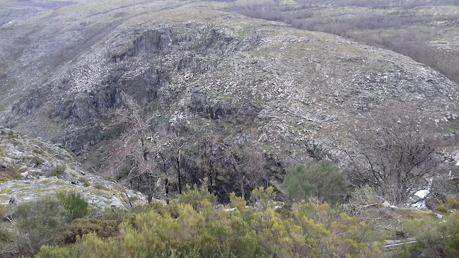 Campo de futebol de Lamas