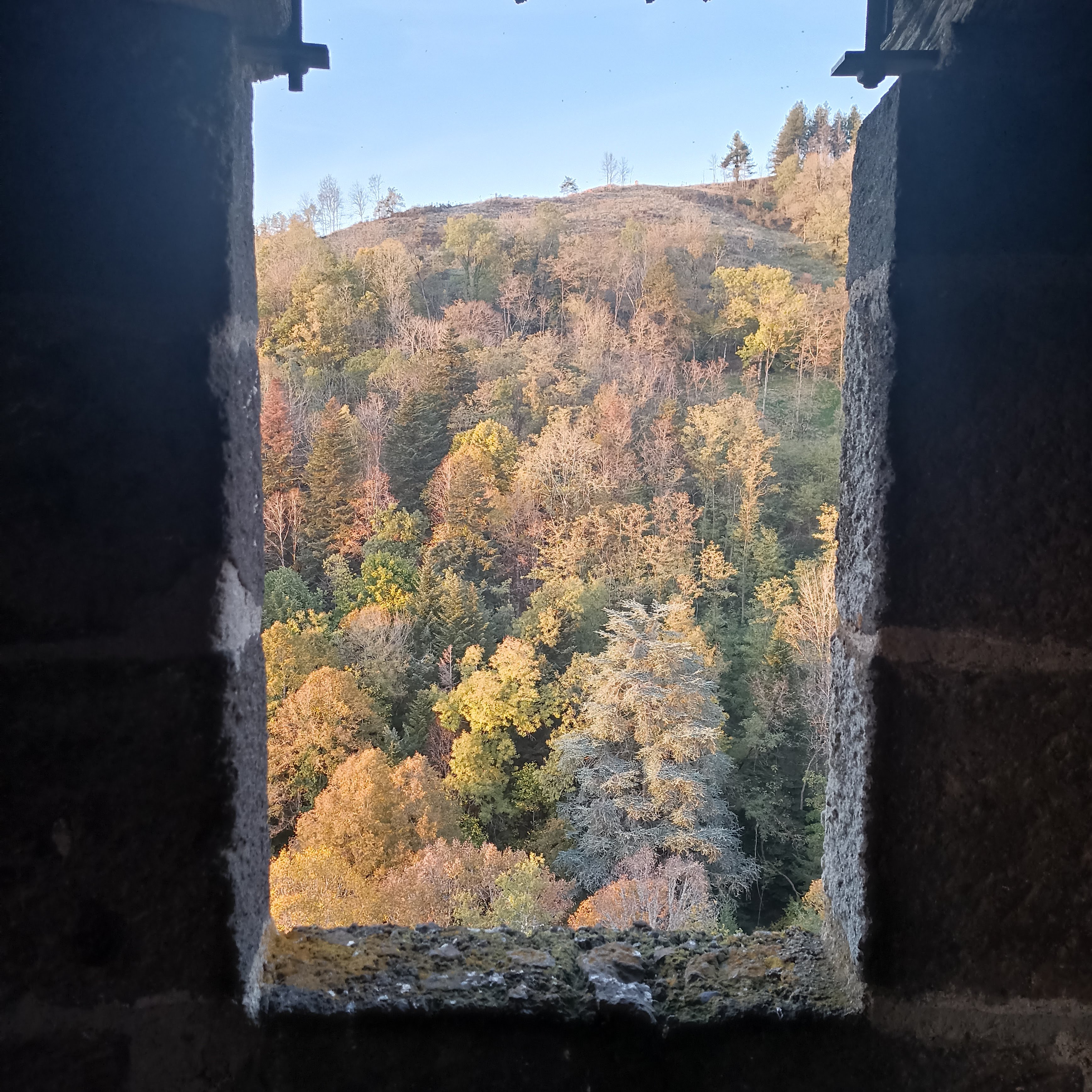 Photo n° 1 de l'avis de Loïc.I fait le 25/11/2022 à 12:31
