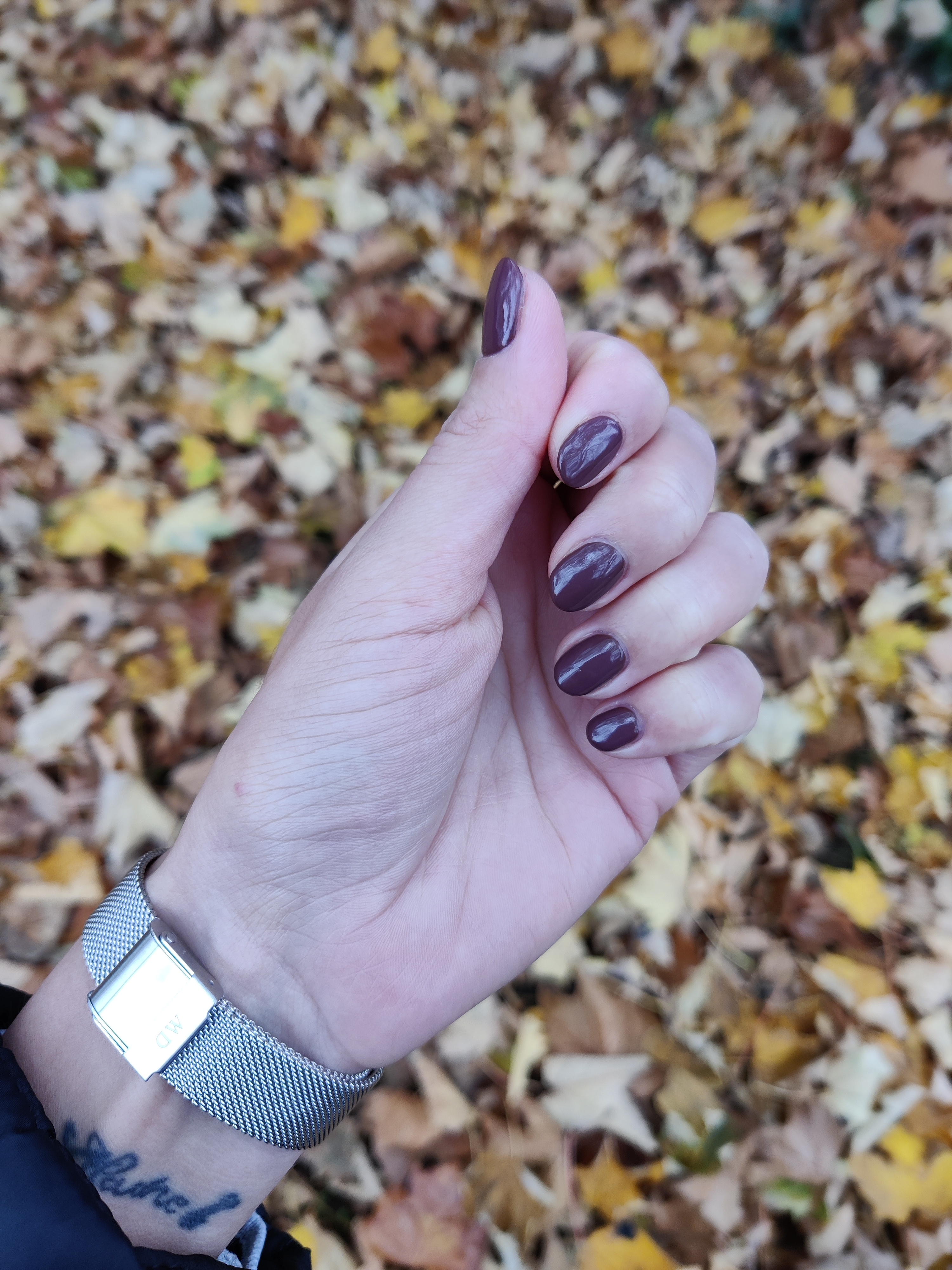 Photo n° 3 de l'avis de Amandine.a fait le 07/12/2021 à 16:32