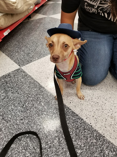 Pet Supply Store «Petco Animal Supplies», reviews and photos, 1815 Newport Blvd b, Costa Mesa, CA 92627, USA