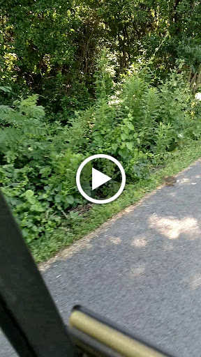 Golf Course «Fresh Pond Golf Course», reviews and photos, 691 Huron Ave, Cambridge, MA 02138, USA