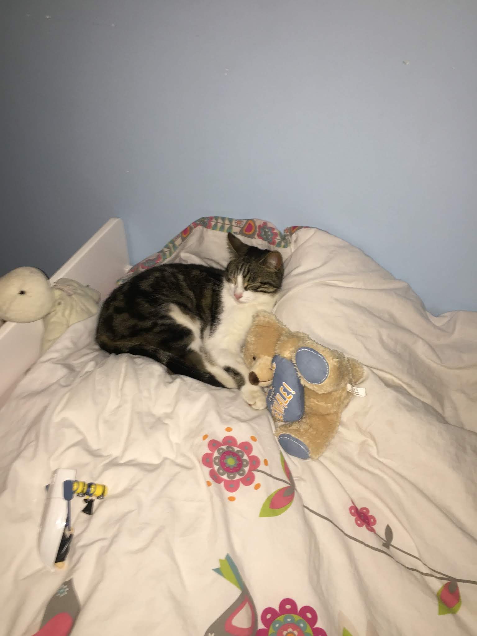 Photo n° 1 de l'avis de Itinérance.� fait le 16/09/2019 à 06:13