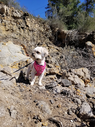 Whitney Canyon Park